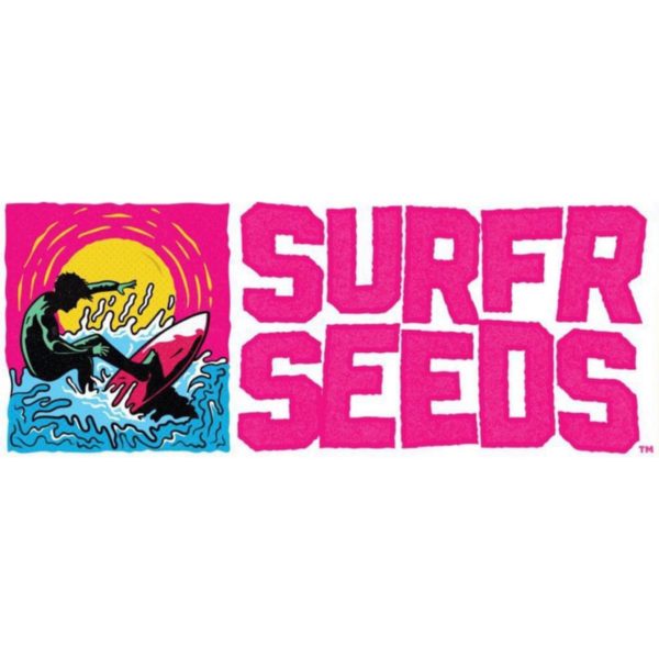 surfr seeds 1