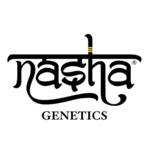 nasha genetics