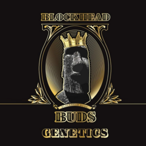 Blockhead Buds