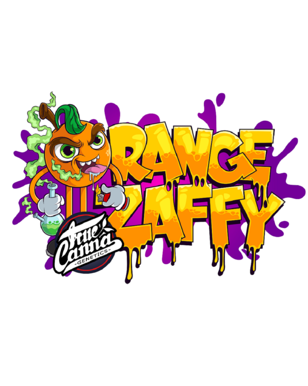 OrangeZaffy1.png