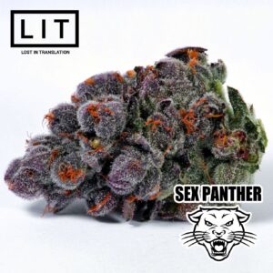lit farms sex panther 004