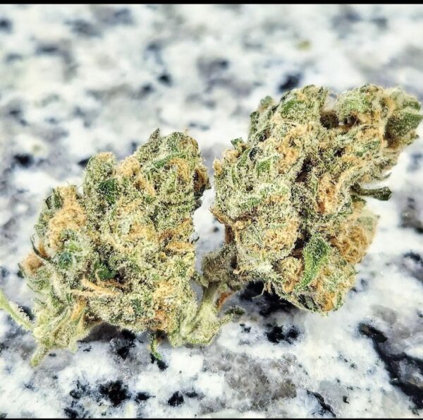 Breeders Kush pure breeding.jpg