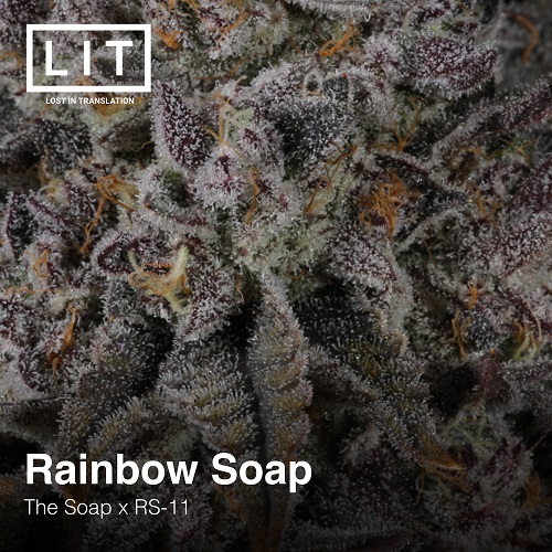 Rainbow Soap 2.jpg