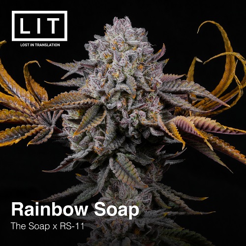 Rainbow Soap.jpg
