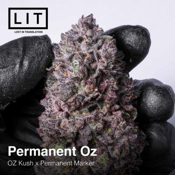 Permanent Oz 3.jpg