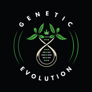 genetic evolution v2 color black