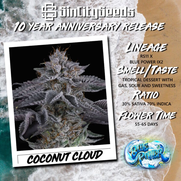 Coconut Cloud Promo Flyer Square 2.jpg