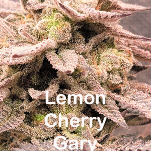 Lemon Cherry Gary 2.jpg