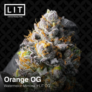 Orange OG 5.jpg