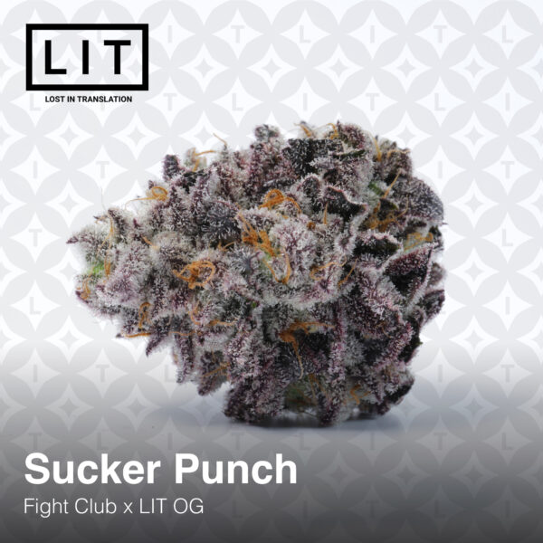 Sucker Punch 6.jpg