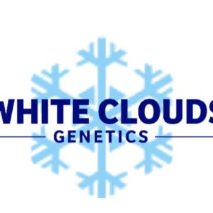 White Cloud Genetics
