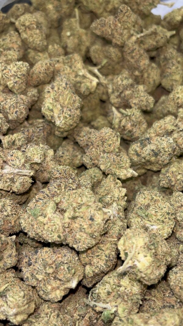 Gelato THCA 1 1 scaled 1.jpg