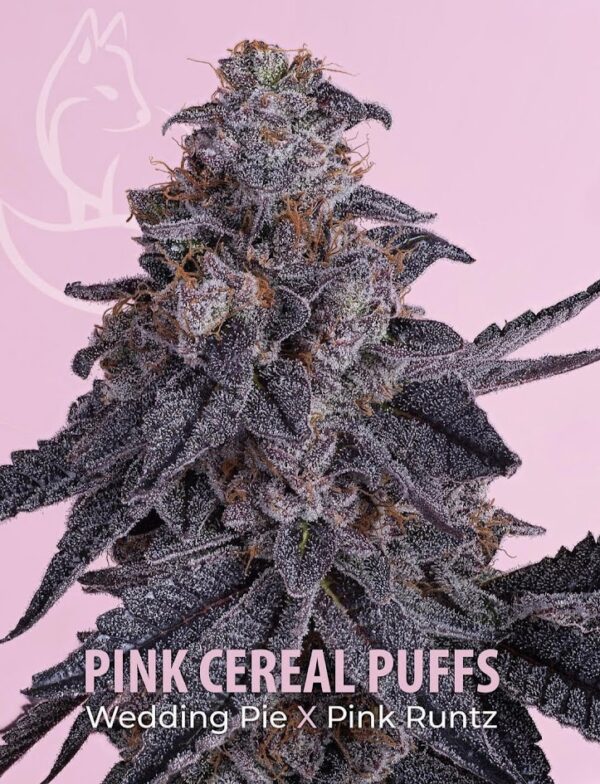 Pink Cereal Puffs universally seeded.jpg