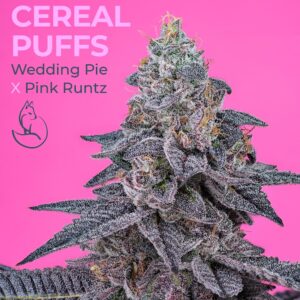 Pink Cereal Puffs universally seeded 7.jpg