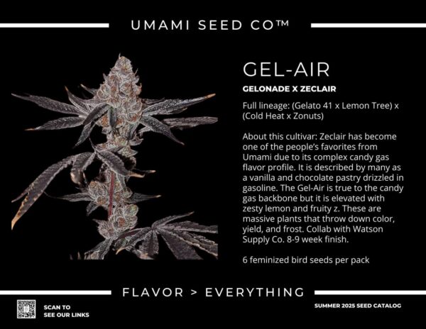 Gel Air Gelato 41 x Lemon Tree x Cold Heat x Zonuts 1.jpg