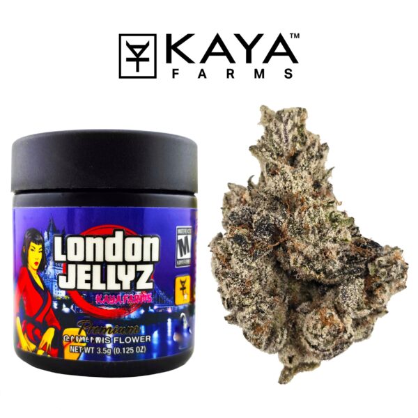 london jellyz umami seed co 1.jpg