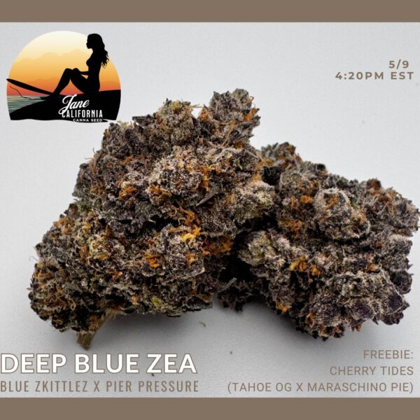 JANECALIDEEPBLUEZEA.jpg
