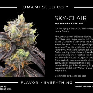 Sky Clair single photo 2 scaled 1.png