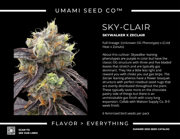 Sky Clair single photo 2 scaled 1.png