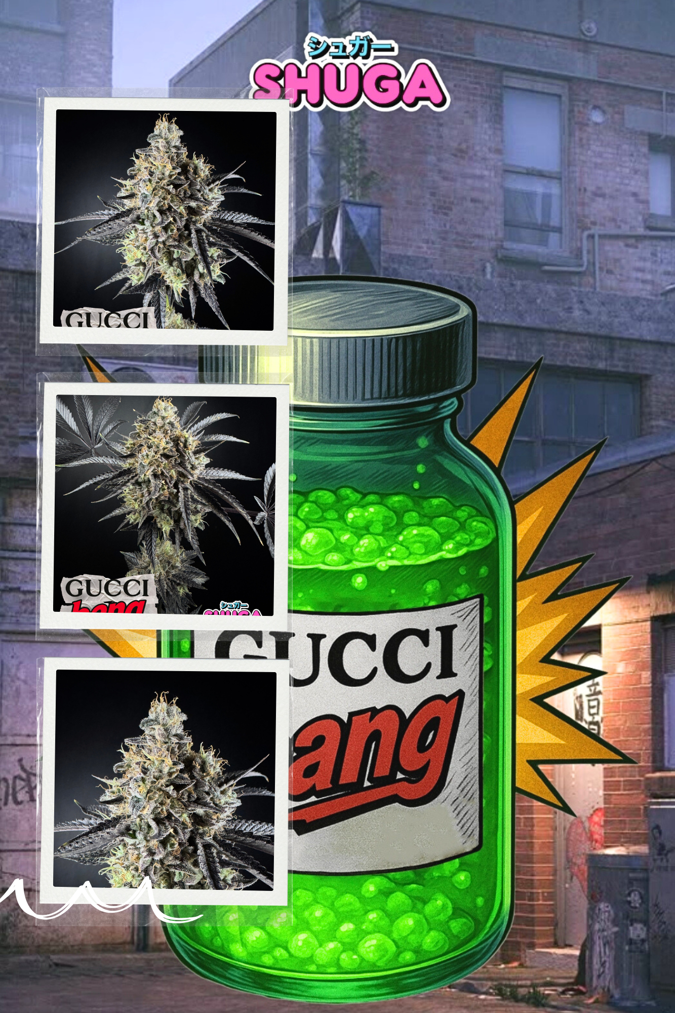 Shuga Gucci Bang