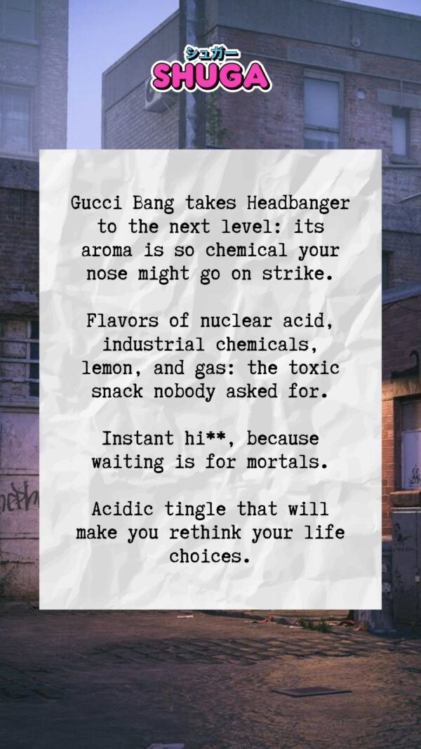 guccibang stories 6.jpg