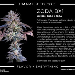 Zoda bx1 london zoda x zoda 4 scaled 1.jpg