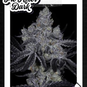 pie after dark nightmare cookies x key lime pie.png