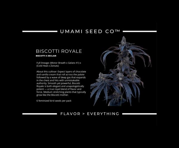 BISCOTTI ROYALE BISCOTTI X ZECLAIR 4 scaled 1.jpeg