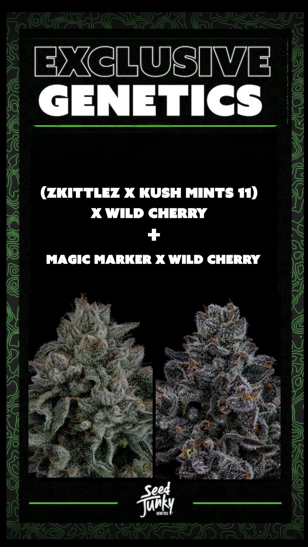 Sep 19 2025 Seed Drop 420 ET 1