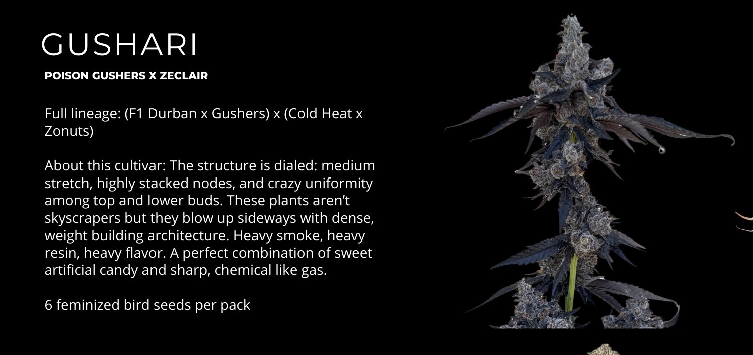 Gushari Poison gushers x Zeclair 2.jpeg