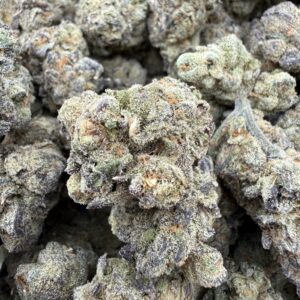 IMG 1851 scaled 1.jpeg