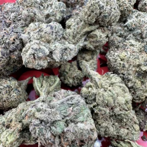 IMG 5189 scaled 1 scaled 1.webp