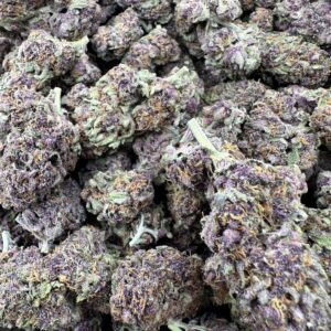 IMG 8205 scaled 1.jpeg