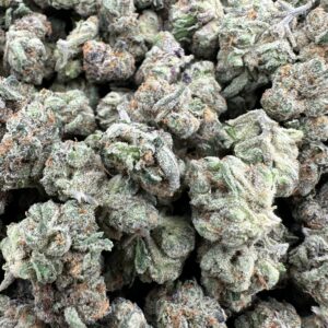 IMG 8829 scaled 1.jpeg