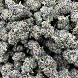 IMG 9317 scaled 1.jpeg