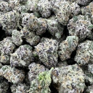 IMG 9323 scaled 1.jpeg