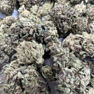 IMG 9607 scaled 1.jpeg