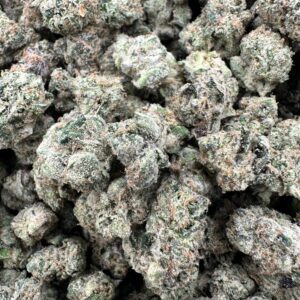 IMG 9951 scaled 1.jpeg