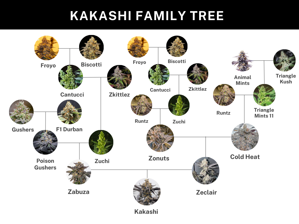 Kakashi family tree.png