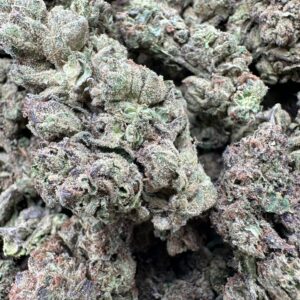 blue cherry sherb scaled 1.jpeg