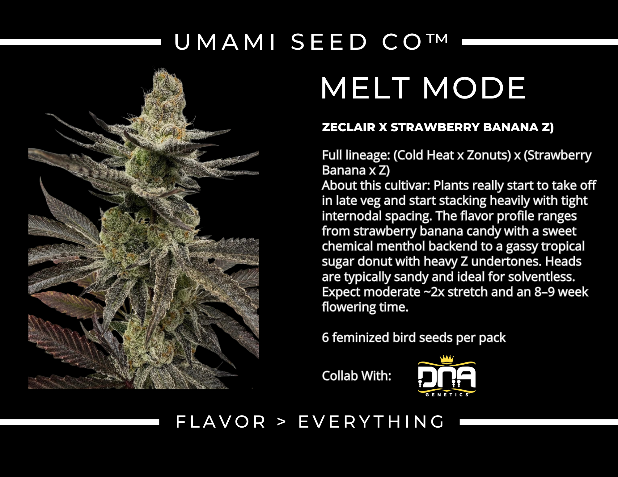 MELT MODE Zeclair Cold Heat x Zonuts x Strawberry Banana x Z 5.png