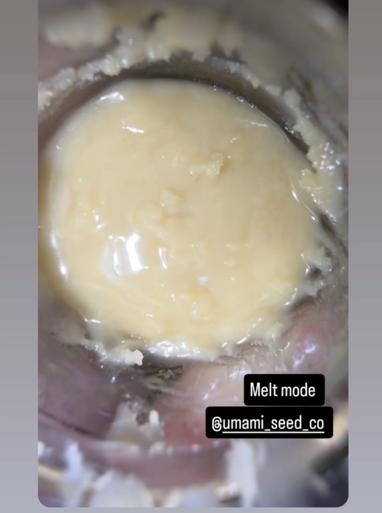 MELT MODE Zeclair Cold Heat x Zonuts x Strawberry Banana x Z.jpeg