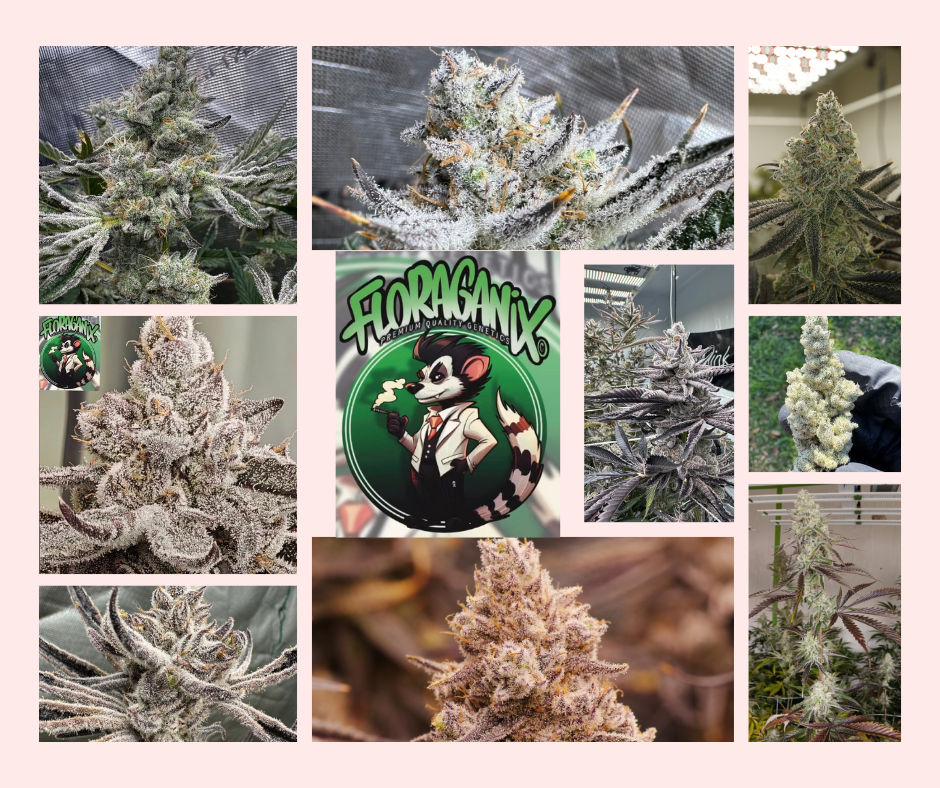 Floraganix Floraganix