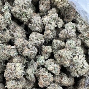 Blue Lobster top-shelf flower macro showing hand-selected buds with refined trichome coverage and curated calyx detail