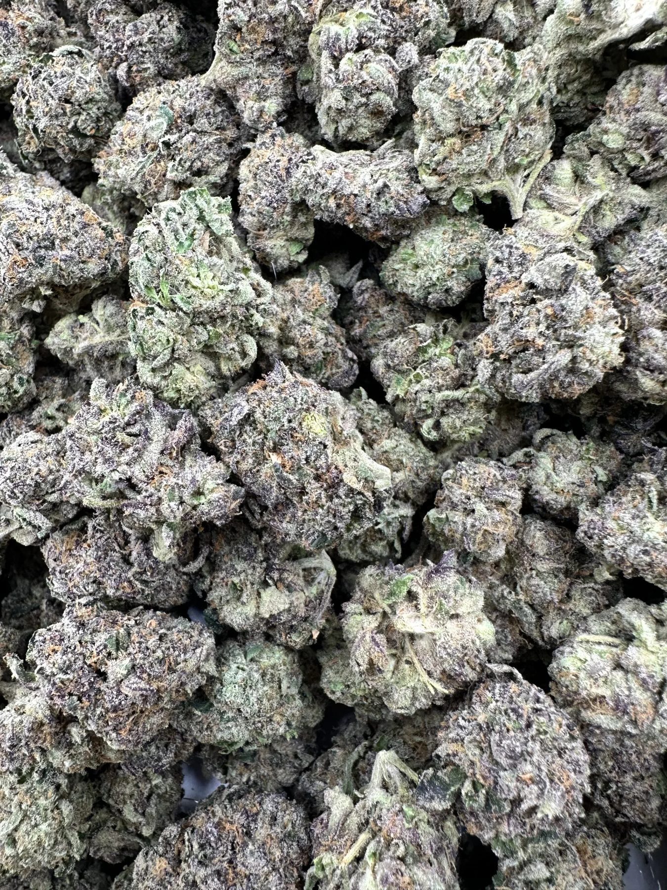 Blueberry Cheesecake premium flower macro with trichome-rich frost and curated bud structure