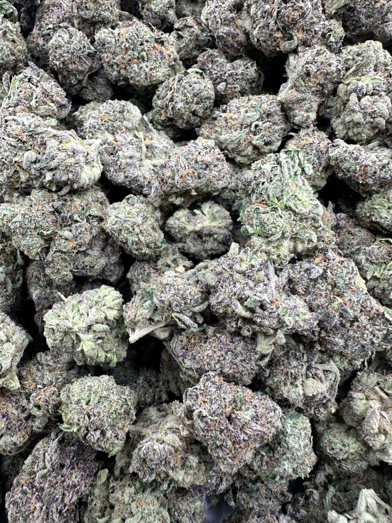 Blueberry Cheesecake premium flower with trichome-rich frosty coating and dense formation