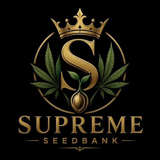 cropped logo 1.png