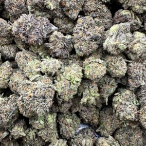 Double Limoncello top-shelf flower macro revealing dense calyx, premium trichome-rich surface, and refined compact bud architecture