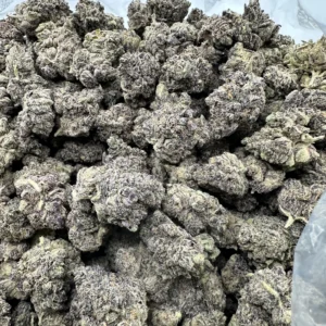 Mermaid Tears top-shelf flower with refined dense structure and uniform white crystalline trichome coating over purple-green base