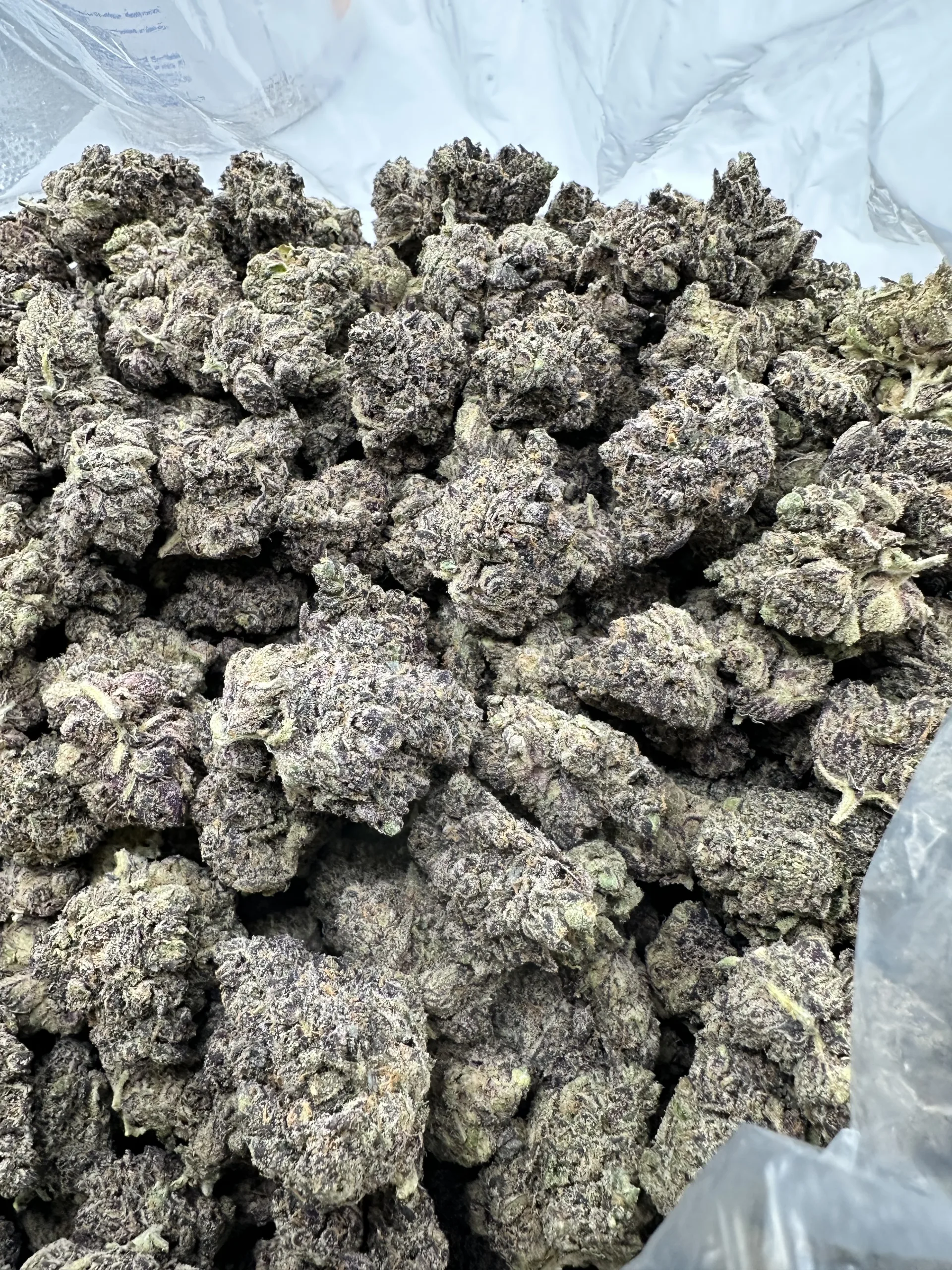 Mermaid Tears top-shelf flower with refined dense structure and uniform white crystalline trichome coating over purple-green base